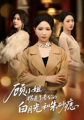 间谍过家家